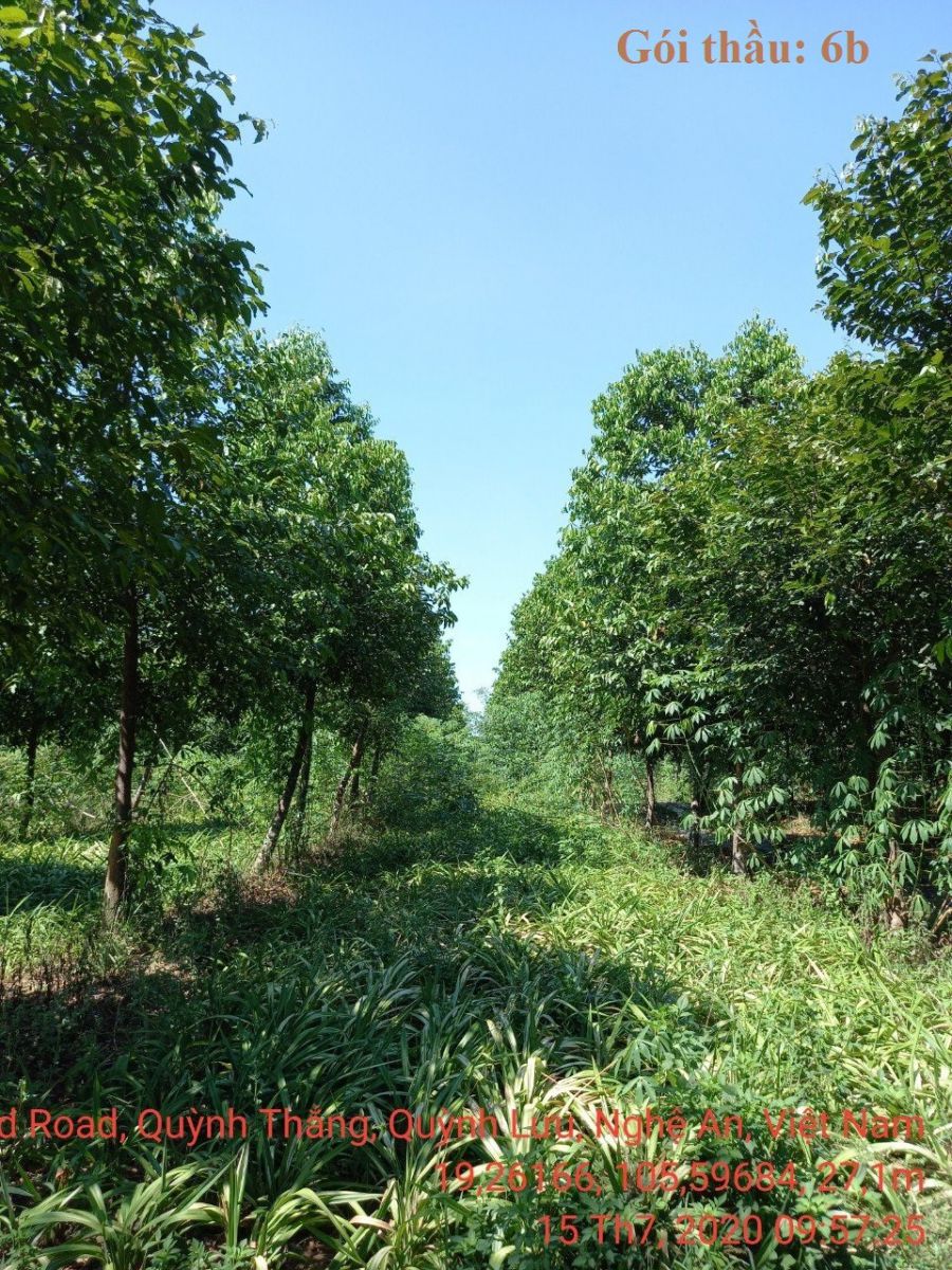 đăng nhập dafabet