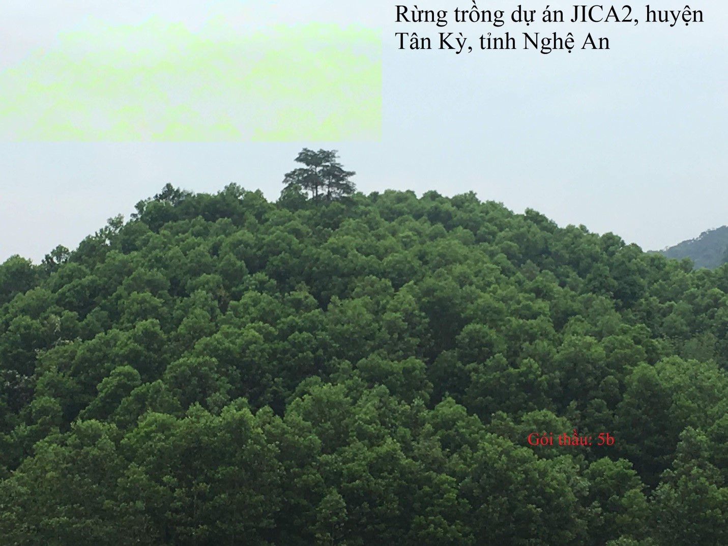 đăng nhập dafabet