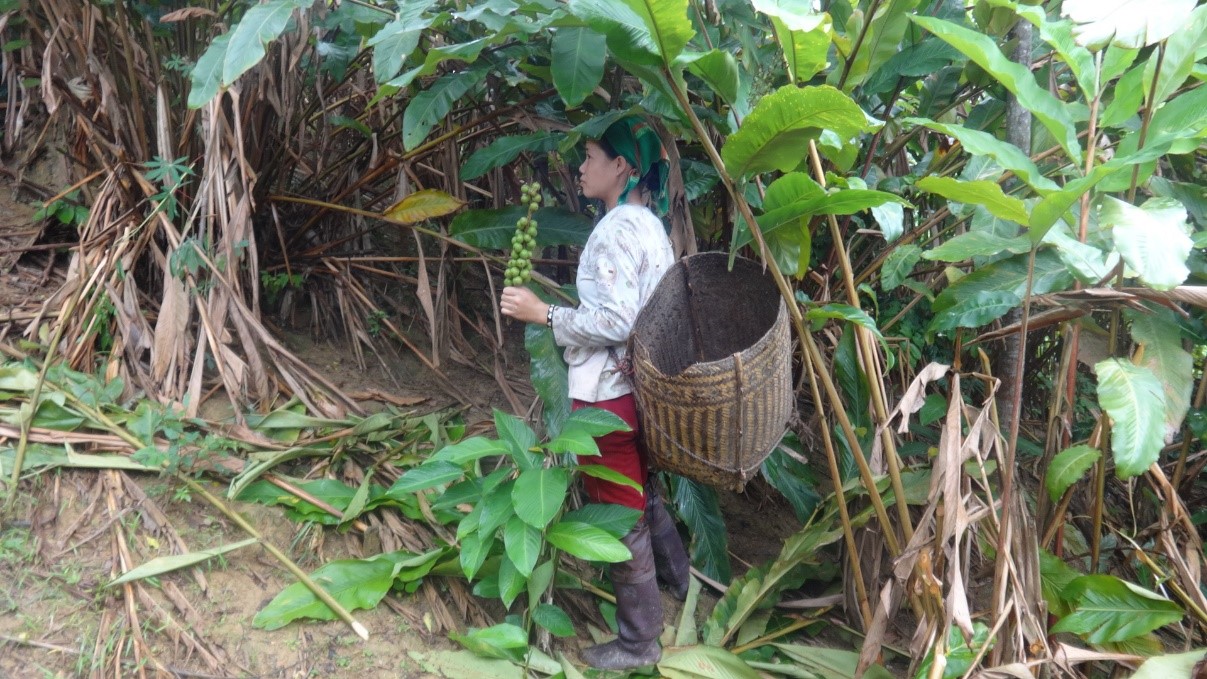 đăng nhập dafabet