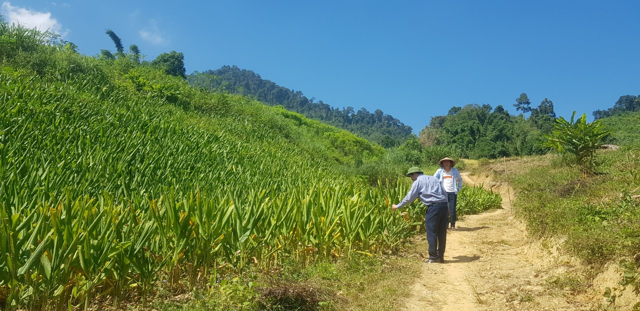 đăng nhập dafabet